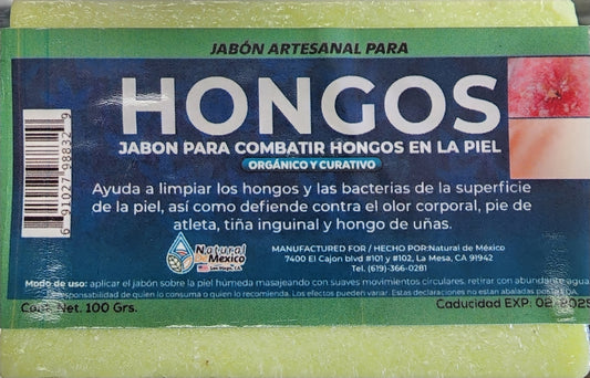 Hongos