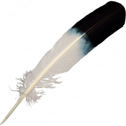 Eagle Feather